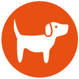 Zertifikatslehrgang Tiergestützte Sonderpädagogik (TSP) HUND